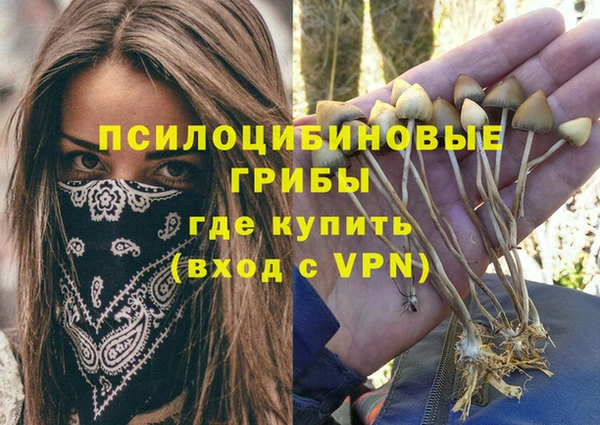 метамфетамин Богородицк