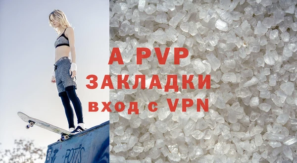 ГАЛЛЮЦИНОГЕННЫЕ ГРИБЫ Сясьстрой