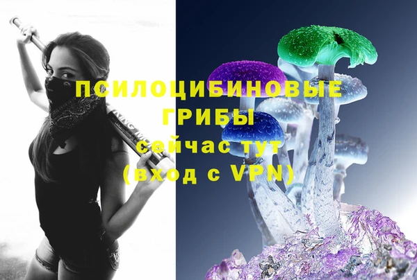 бошки Богданович
