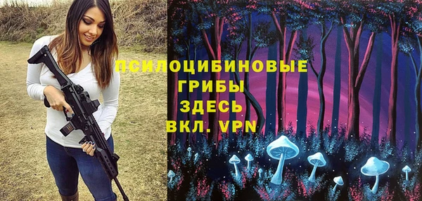 бошки Богданович