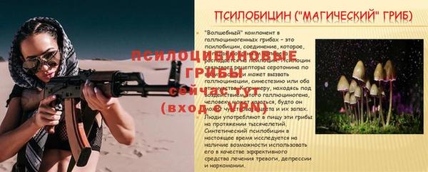 бошки Богданович