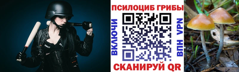 Псилоцибиновые грибы прущие грибы  Озёрск 